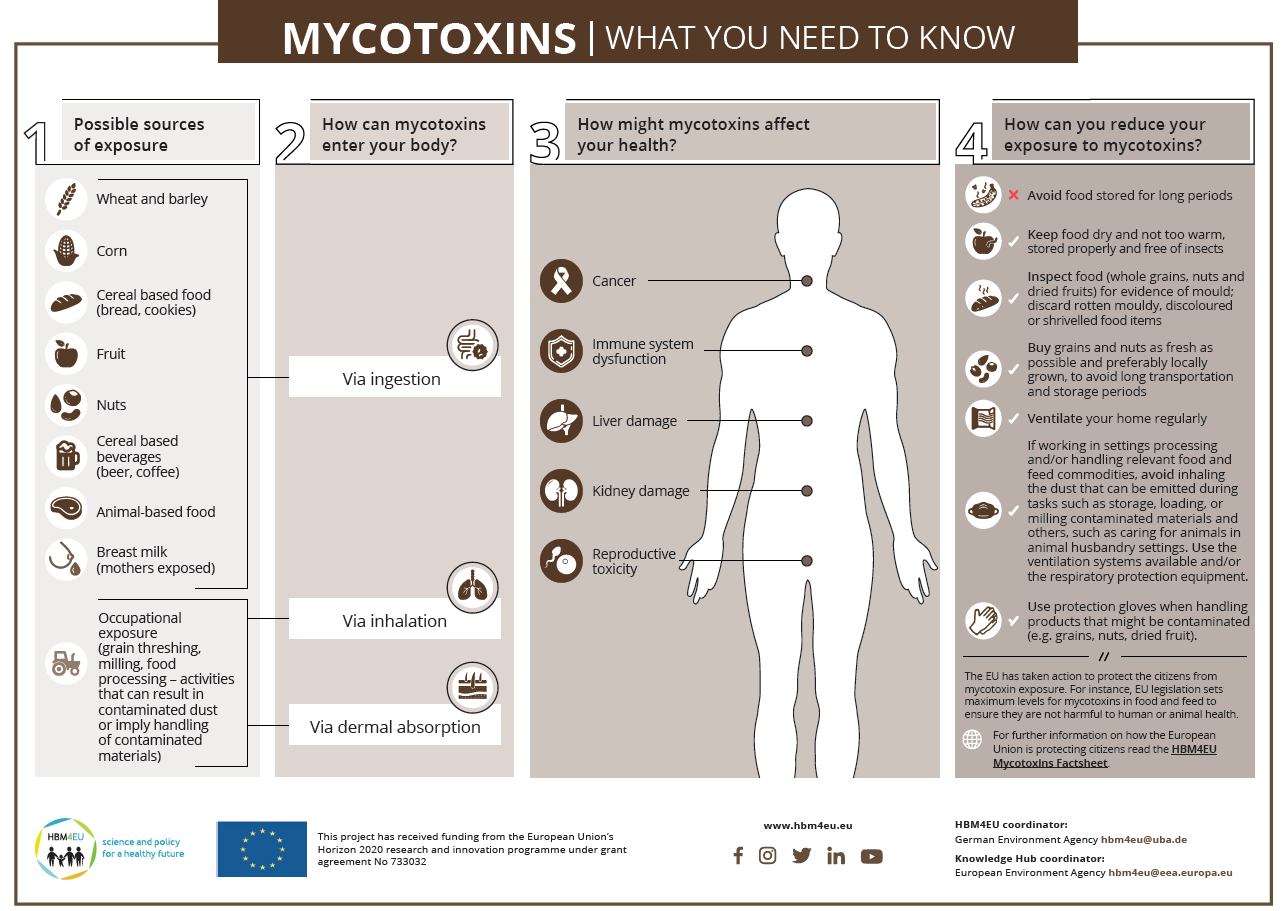 Mycotoxins 